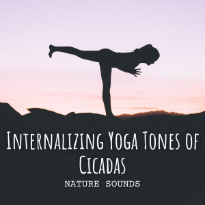 Album Nature Sounds: Internalizing Yoga Tones of Cicadas oleh Nature Songs Nature Music
