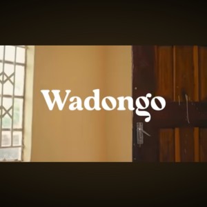 Jay Jay Cee Mw的專輯Wadongo