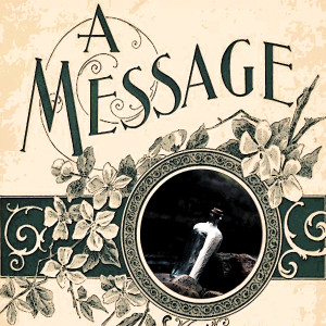 Album A Message oleh Terry Stafford