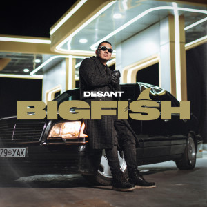 Listen to Big Fish song with lyrics from Desant