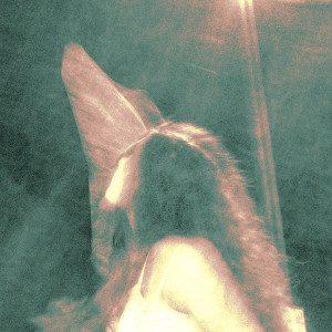 ดาวน์โหลดและฟังเพลง Faster พร้อมเนื้อเพลงจาก Daan