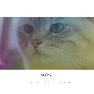 Listen to Cat’s letters song with lyrics from 미야오