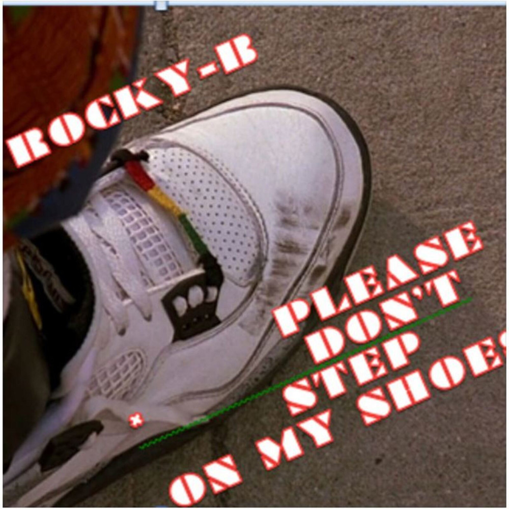Please Don't Step on My Shoes