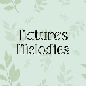 Album Nature's Melodies from Rain Sounds Nature Collection