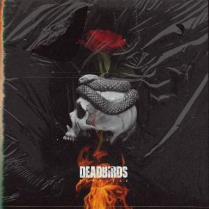 收聽DEADBIRDS的Fearless歌詞歌曲