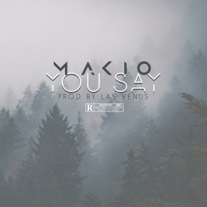 ดาวน์โหลดและฟังเพลง You Say พร้อมเนื้อเพลงจาก Makio