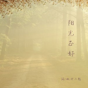Listen to 阳光正好 song with lyrics from 十二越