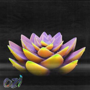 Ozi的專輯Blossom