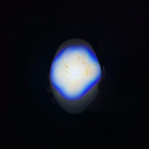 ดาวน์โหลดและฟังเพลง Forma IV พร้อมเนื้อเพลงจาก Donato Dozzy