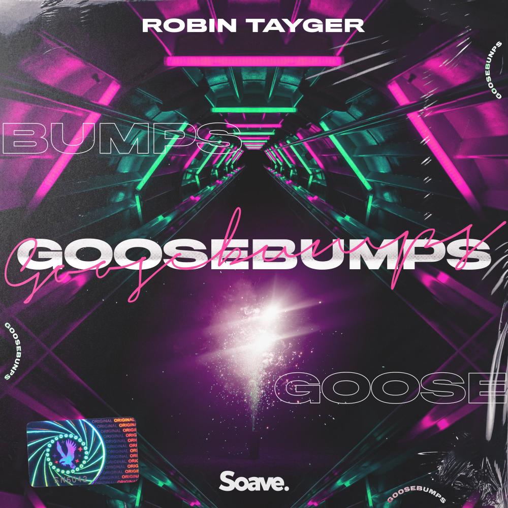Goosebumps(feat. Young Jae) (Explicit)