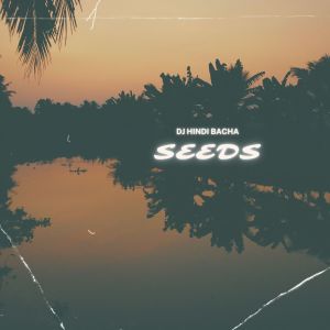 DJ Hindi Bacha的專輯Seeds