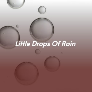 Album Little Drops of Rain from Various