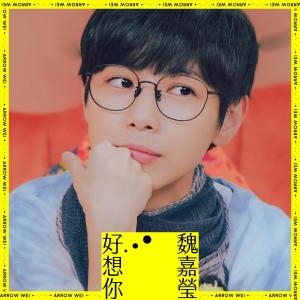 收聽魏嘉瑩的好想你歌詞歌曲
