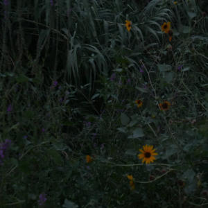 收聽valerian的intertwined (feat. N8N) (Explicit)歌詞歌曲