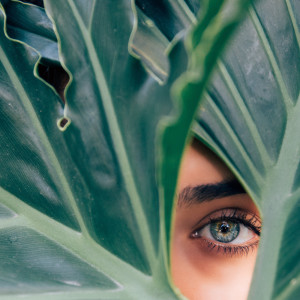 Listen to Focus, Sleep, Relax song with lyrics from Nature Sounds