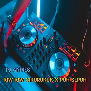 DJ Kiw Kiw Cukurukuk x puh sepuh Lagu