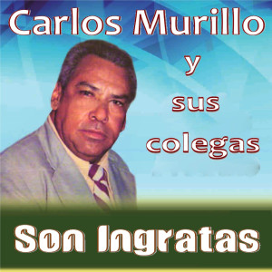 收聽Los Platinos的Aquí Estoy mi Amor歌詞歌曲