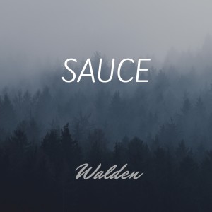 Listen to Sauce song with lyrics from Walden
