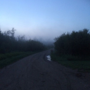 softsync的專輯jealous (instrumental slowed & reverb with rain)