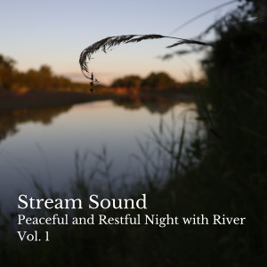 Irish Celtic Music的專輯Stream Sound: Peaceful and Restful Night with River Vol. 1