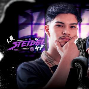 收聽Dj Steidel 047的Mandela Sem Putaria (feat. DJ Vinicius SC|Explicit)歌詞歌曲