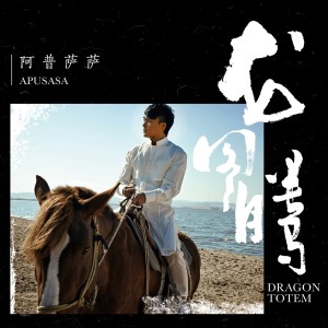 Listen to 愛在版納 song with lyrics from 阿普萨萨