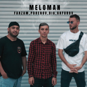 Listen to Meloman song with lyrics from Farzam