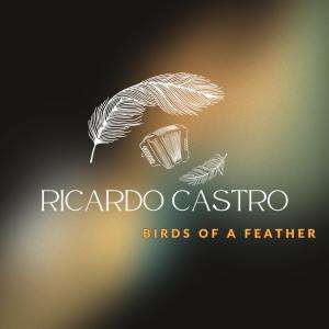 อัลบัม BIRDS OF A FEATHER (Instrumental) ศิลปิน Ricardo Castro
