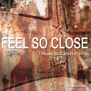 Listen to Feel So Close song with lyrics from Hit Machine