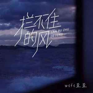 Album 拦不住的风 from WiFi歪歪