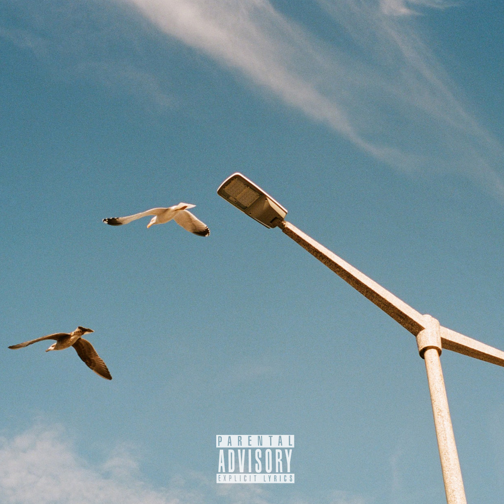 LIKE THIS (Explicit)