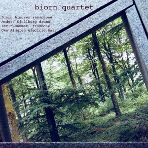Karin Hammar的專輯Biorn Quartet