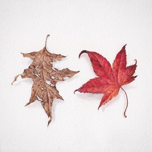 Listen to 자각 song with lyrics from Woosik