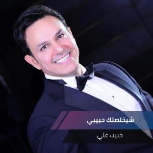 收听حبيب علي的شيخلصلك حبيبي歌词歌曲