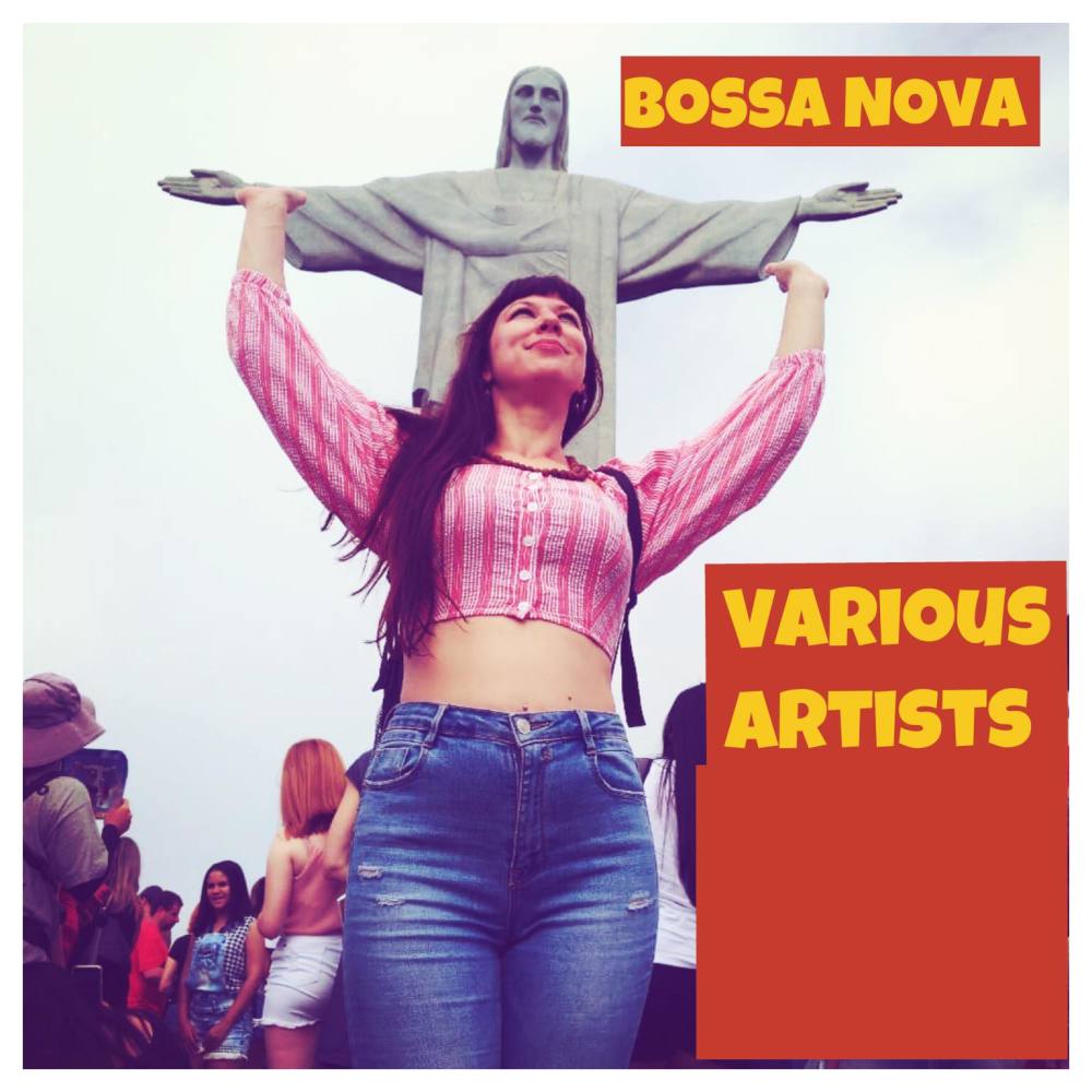 Se Acaso Você Chegasse