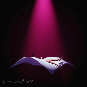 收聽Pascha的Üstündeki Ne? (Explicit)歌詞歌曲