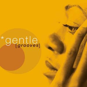 收聽Gentle Grooves的Don't You Worry 'Bout a Thing歌詞歌曲