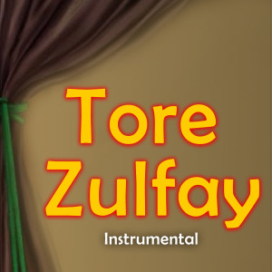 Listen to Tore Zulfay (Instrumental) song with lyrics from Amjad Khan