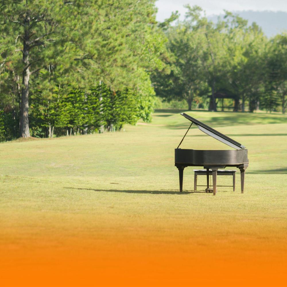 Soothing Piano And Gentle Harp With Ambient Music And Nature Sounds For Deep Sleep And Anxiety Reduction