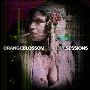 Listen to Habibi (Blossom Live Sessions) song with lyrics from Orange Blossom