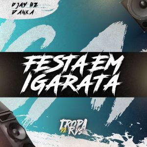 Album FESTA EM IGARATA (Explicit) from RVS Prod