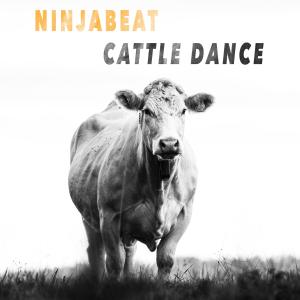 ดาวน์โหลดและฟังเพลง Cattle Dance พร้อมเนื้อเพลงจาก Ninjabeat