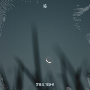Listen to 笼 (cover: 张碧晨) (完整版) song with lyrics from 黎鹿北