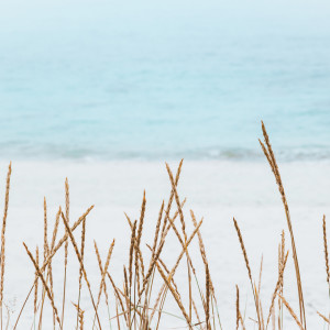Musica Relajante Para Estudiar的专辑Relaxation