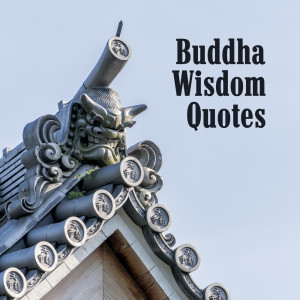 Listen to Health. Sleep is the Best Meditation song with lyrics from Great Meditation Guru