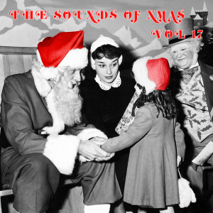 Listen to It's Xmas song with lyrics from Brigitte Stolk