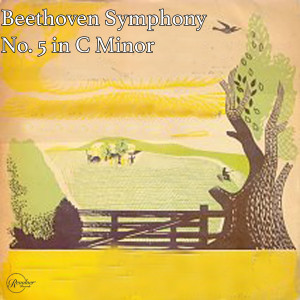 收听Royal Concertgebouw Orchestra的Beethoven- Symphony #5 In C Minor, Op. 67 - 4. Allegro歌词歌曲