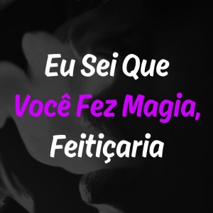 DJ LC DO SP OFICIAL的專輯Eu Sei Que Você Fez Magia, Feitiçaria (Explicit)