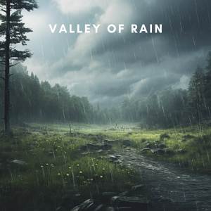 Natural Sounds Selections的專輯Valley of Rain