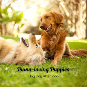 Jazz for Dogs的专辑Piano-loving Puppies: Dog Day Afternoon